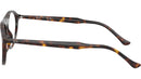 RB5441 Optics 2012
