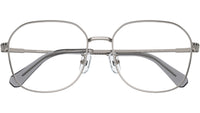 SK1009D 4010