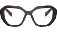 PR A07V 16N1O1 Tortoise