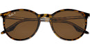 RB2204 139357 Havana Clear