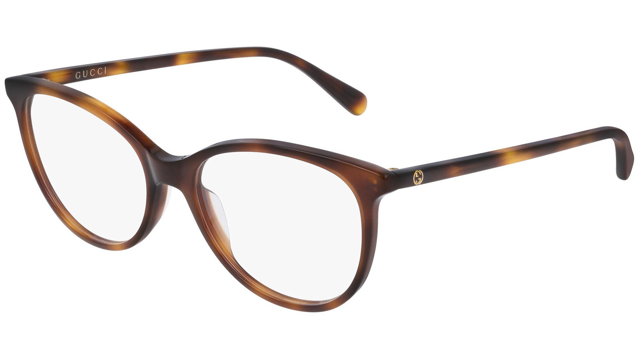 GG0550O 002 shiny tortoise