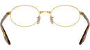 RB6481V Optics 2500