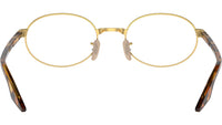RB6481V Optics 2500