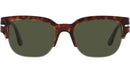 Tom 24/31 tortoise