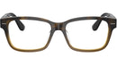 BC3003 1014 Havana Tortoise