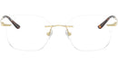 RB8783D Optics 1251