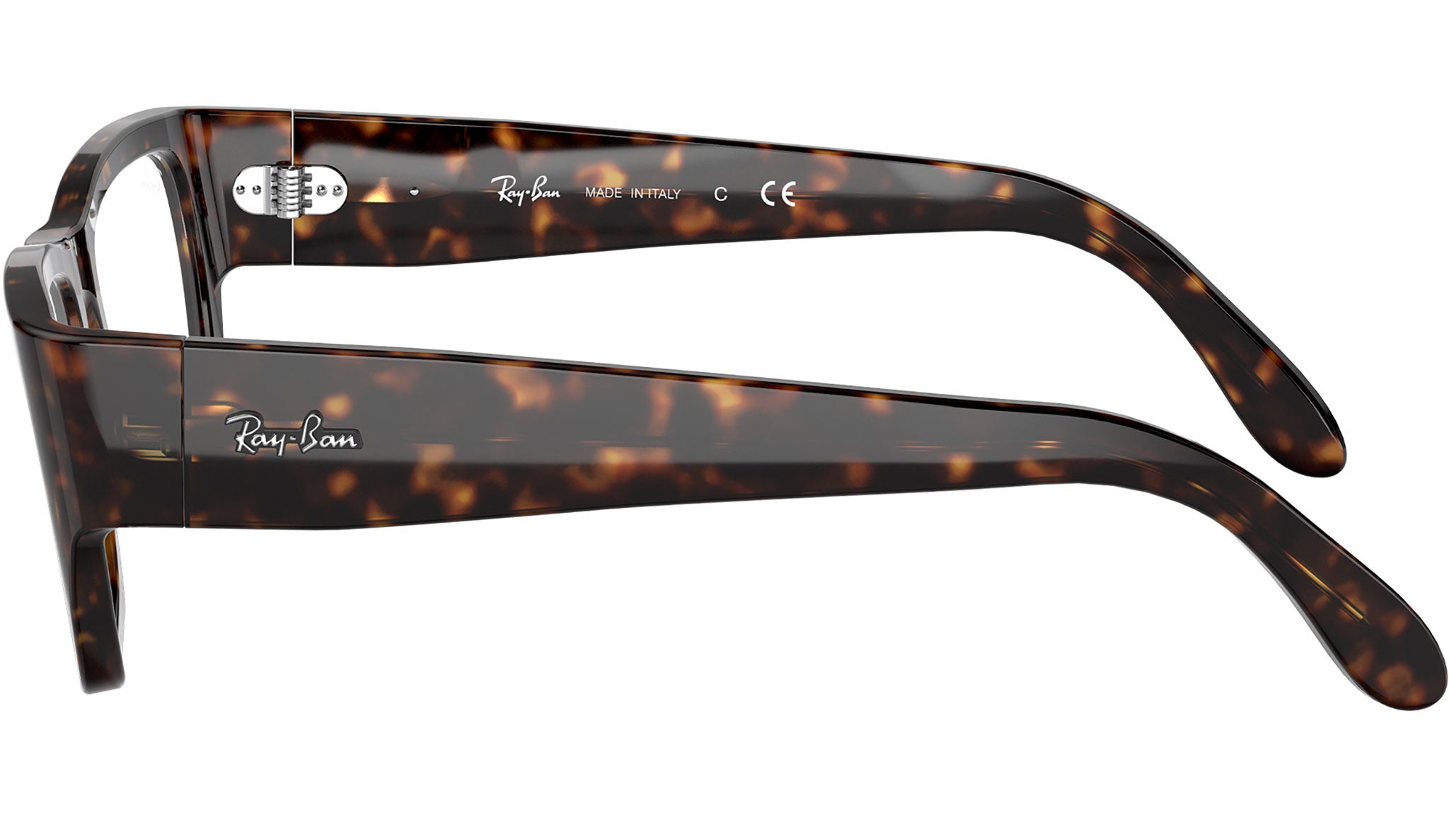 Nomad Wayfarer Optics RB5487 2012