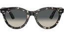Wayfarer Way RB2241 133371 Grey