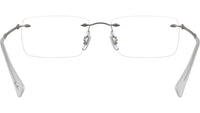 RB8755 Optics 1000