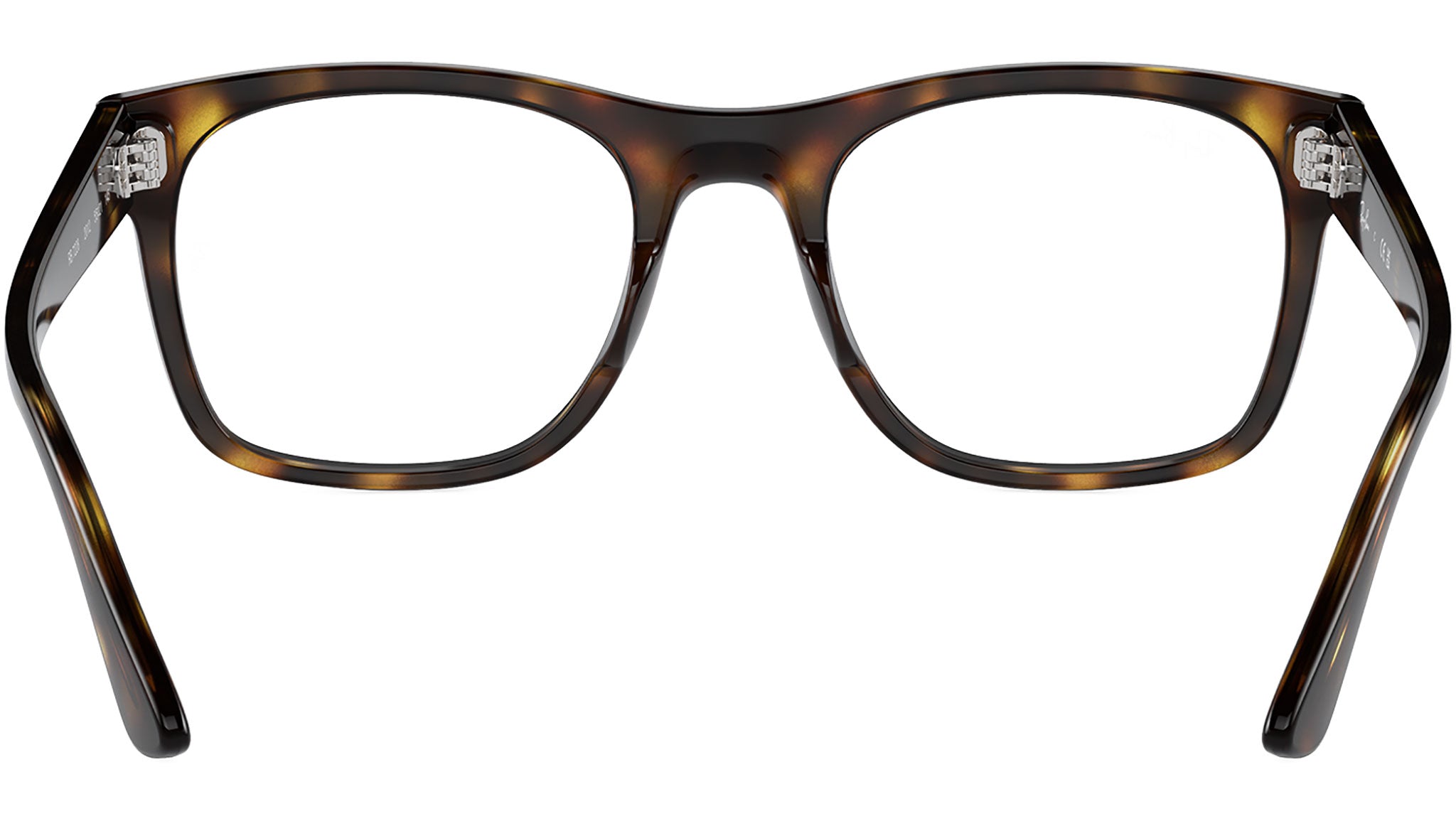 RB7228 Optics 2012