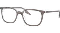 RB5406 Optics 8111