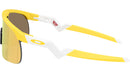 Resistor OJ9010 43