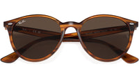 RB4305 820/73 striped red havana