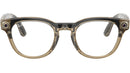 Meta Scriber Optics Gen2