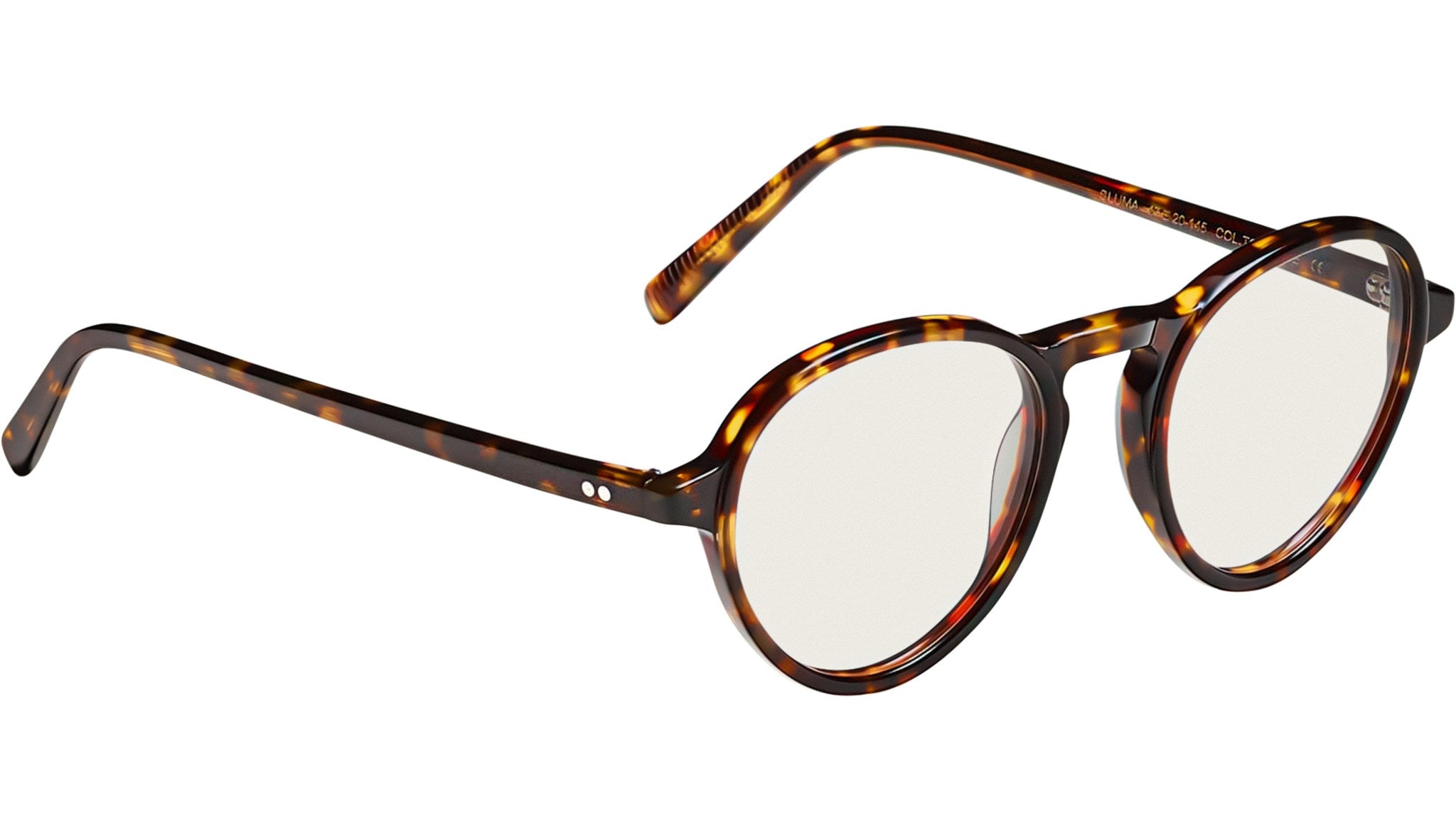 Bluma Tortoise