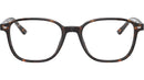 Leonard Optics RB5393 2012