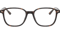 Leonard Optics RB5393 2012