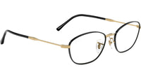 RB3749V Optics 3175